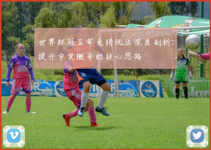 世界杯冠亚军竞猜玩法深度剖析:提升中奖概率的核心思路
